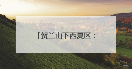 贺兰山下西夏区：执“生态之笔” 书写“绿色答卷”
